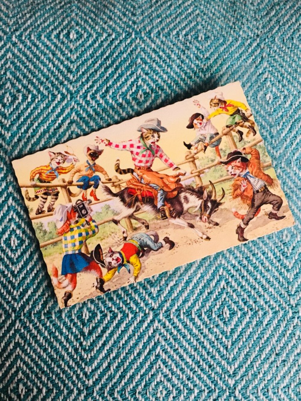 Vintage Alfred Mainzer Anthropomorphic Cowboy Kitty Rodeo Chaos Postcard